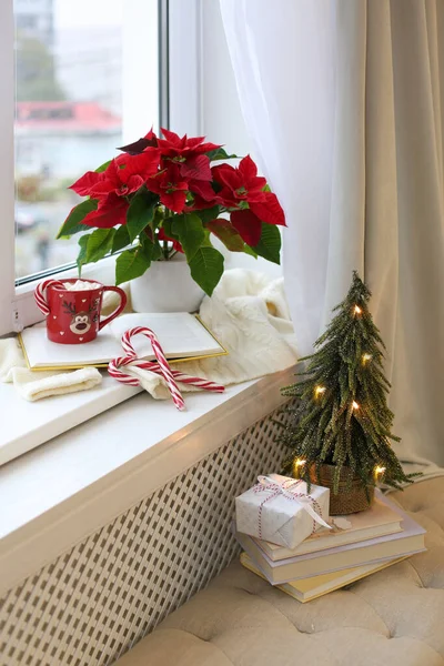 Schöne Weihnachtssterne Tasse Heißen Kakao Und Dekorativer Baum Der Nähe — Stockfoto