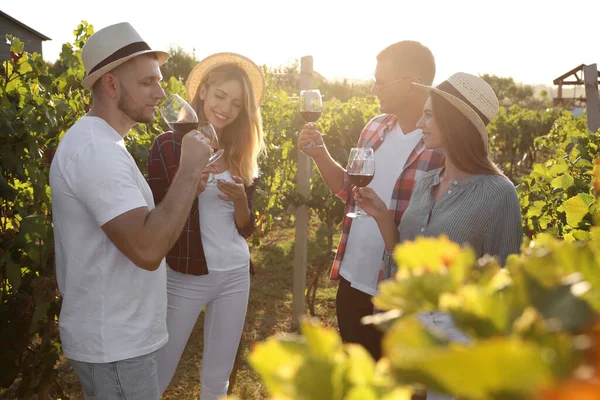 Friends tasting red wine in vineyard on sunny day