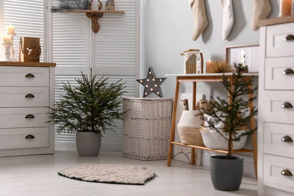 Beautiful room with potted fir trees. Interior design