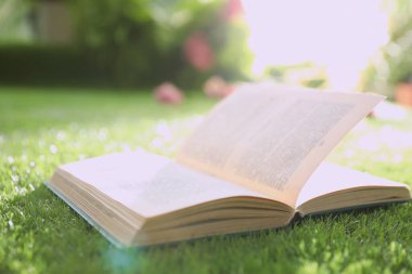 Parkta yeşil çimenler üzerine açık bir kitap
