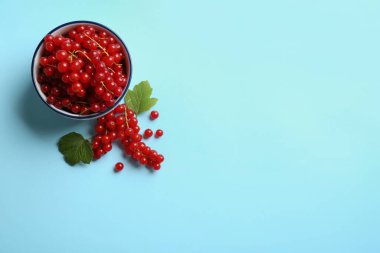 Lezzetli kırmızı üzümler ve açık mavi arka planda yapraklar, düz. Metin için boşluk