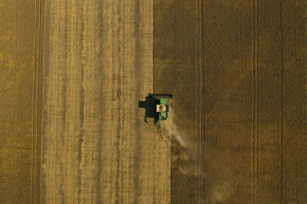 Piękny Widok Lotu Ptaka Nowoczesnego Kombajnu Pracującego Polu Słoneczny Dzień — Zdjęcie stockowe