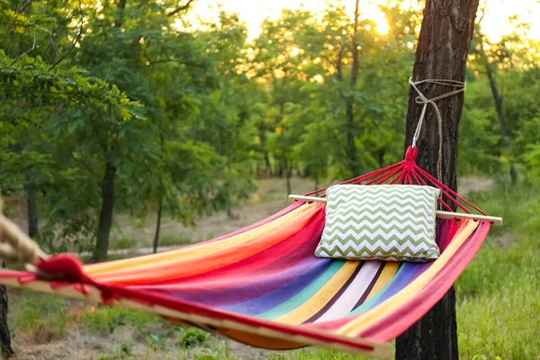 Bequeme Helle Hängematte Mit Weichem Kissen Grünen Garten — Stockfoto