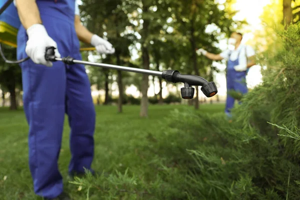 Worker Spraying Pesticide Green Bush Outdoors Closeup Pest Control — Stock Photo, Image