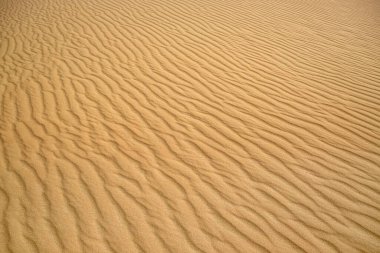 Çöldeki dalgalı kumlu yüzeyi arka plan olarak görmek güzel.