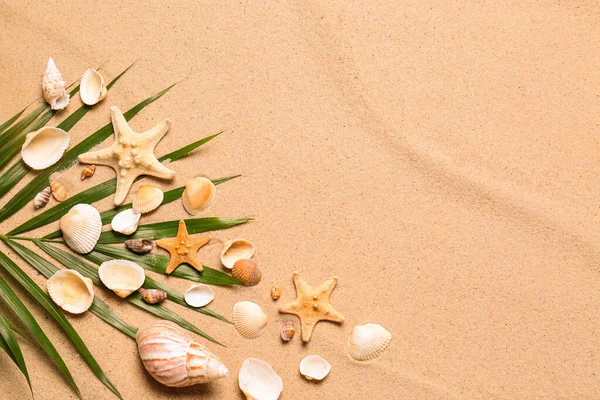 Foglia Palma Stelle Marine Conchiglie Sulla Sabbia Della Spiaggia Posa — Foto Stock