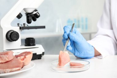 Laboratuvarda çiğ eti olan bilim adamı, yakın plan. Zehir saptama