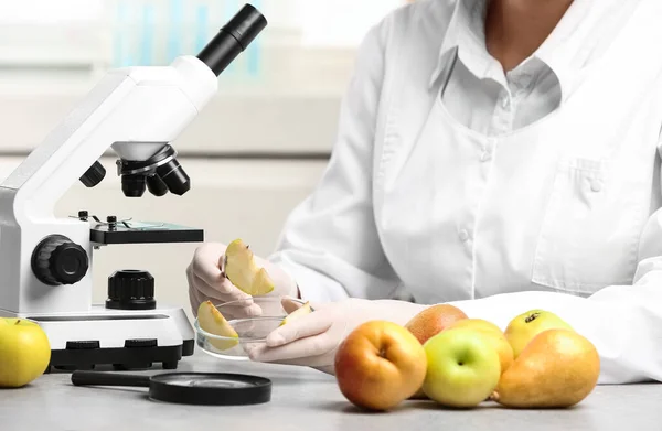 科学家在实验室里把一片苹果放在桌子上 近距离观察 有毒物质检测 — 图库照片