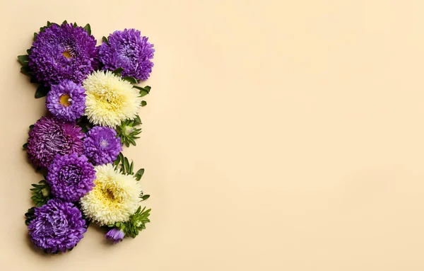 Gyönyörű Mesterek Hely Szöveg Bézs Háttér Lapos Laikus Őszi Virágok — Stock Fotó