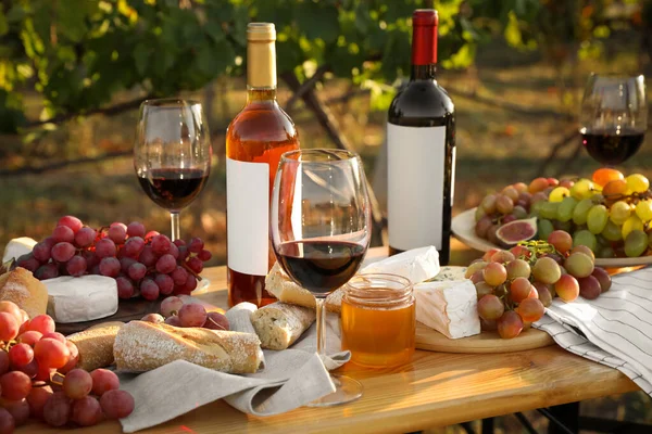 户外在木制桌子上野餐的红酒和零食 — 图库照片