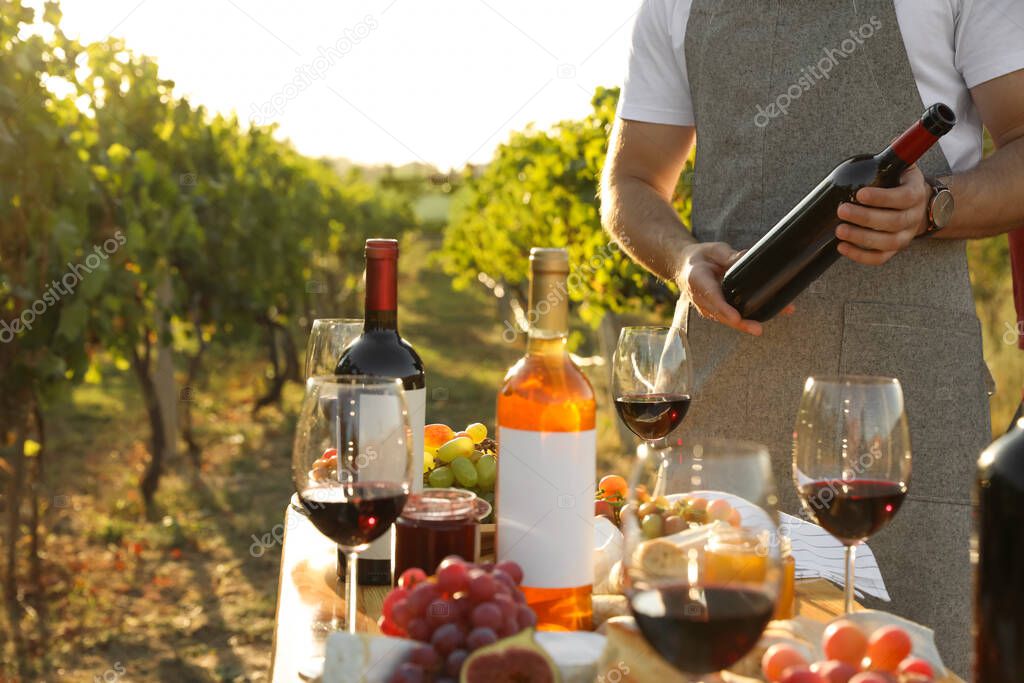 Young man holding bottle of wine in vineyard on sunny day, closeup