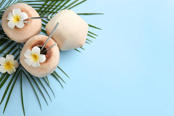 Cocos Frescos Con Pajitas Para Beber Flores Sobre Fondo Azul —  Fotos de Stock