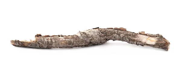 Old Dry Tree Branch Isolated White — Stock Photo, Image