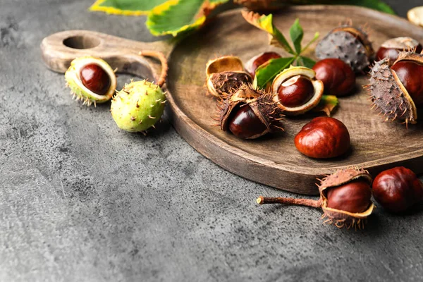 Rosskastanien Auf Grauem Tisch Nahaufnahme — Stockfoto