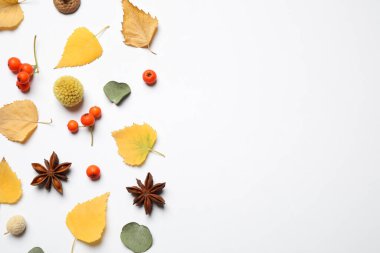 Beyaz arkaplan üzerindeki metin için sonbahar yaprakları ve boşluk içeren düz düzenleme