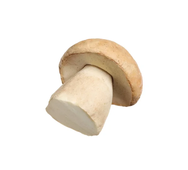Cogumelo Porcini Selvagem Fresco Isolado Branco — Fotografia de Stock