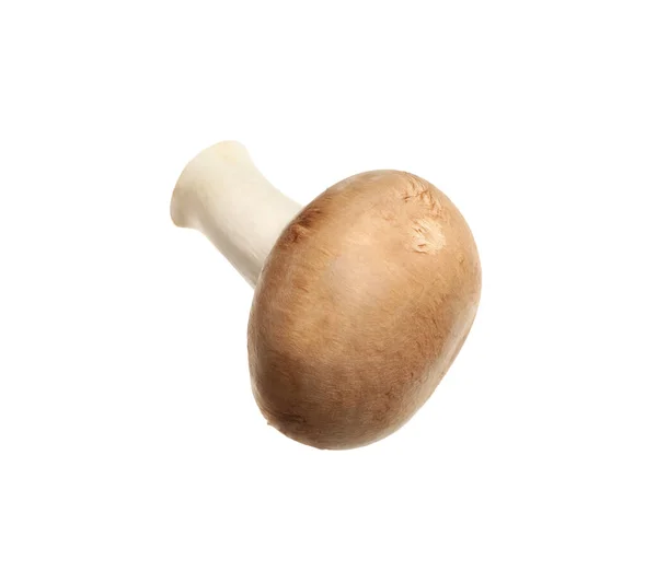 Fungo Champignon Selvatico Fresco Isolato Bianco — Foto Stock