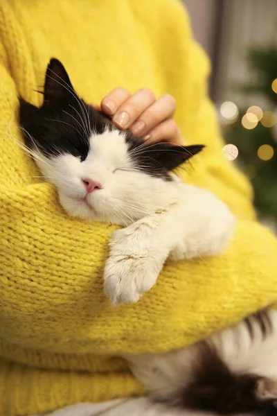 Mulher Acariciando Gato Adorável Quarto Com Árvore Natal Close — Fotografia de Stock