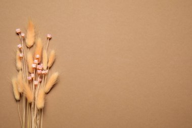 Açık kahverengi arka planda bir buket kurumuş çiçek, düz uzanmış. Metin için boşluk