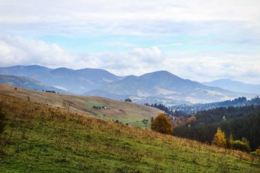 Kozalaklı ormanı ve yeşil tepeleri olan güzel dağ manzarası