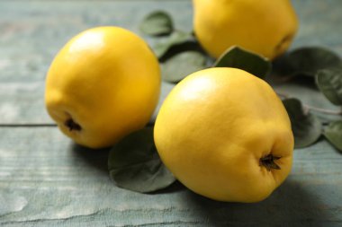 Taze taze organik ayva, mavi ahşap masa üzerinde yapraklar, yakın çekim