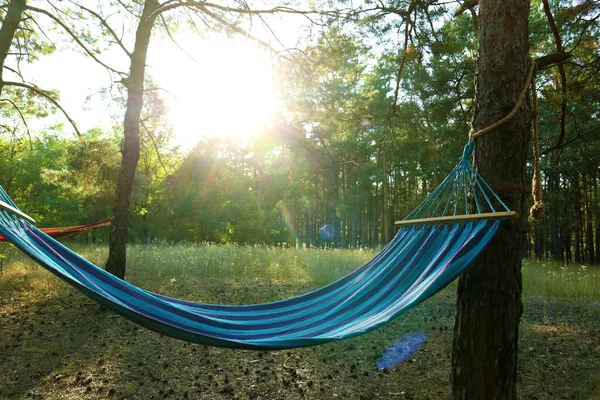 在森林里挂着空旷舒适的蓝色吊床 — 图库照片