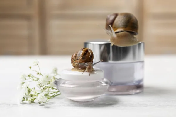 Snail Jar Cream Baby Breath Flowers White Table Closeup — Stock Photo, Image