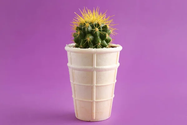 Kaktus Zmrzlinou Fialovém Pozadí Citlivost Zubů Chlad — Stock fotografie