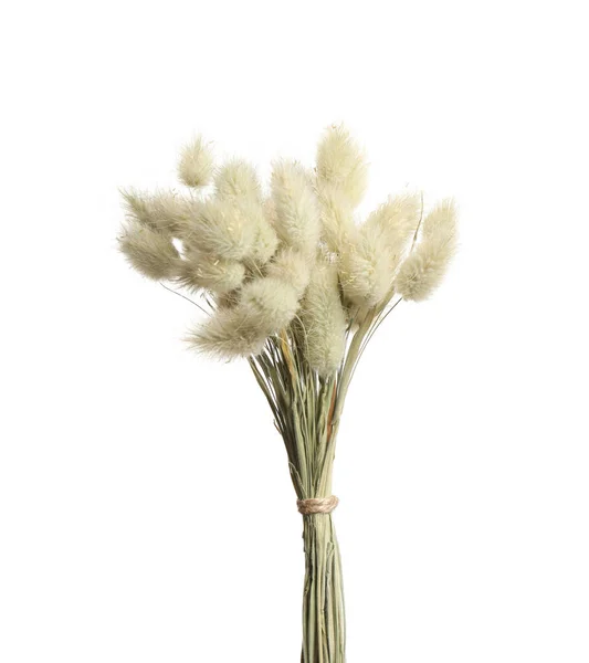 Beyaz Arka Planda Kurumuş Çiçek Demeti — Stok fotoğraf