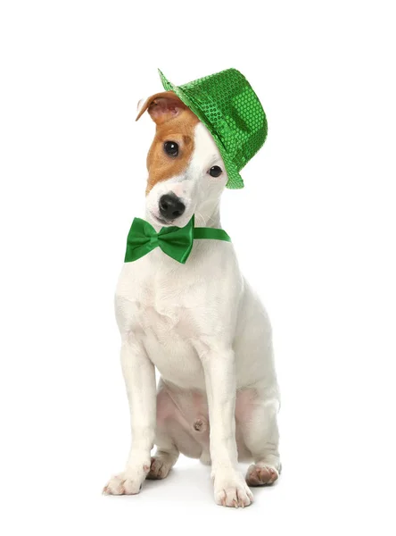 Mignon Jack Russel Terrier Avec Chapeau Lutin Noeud Papillon Sur — Photo