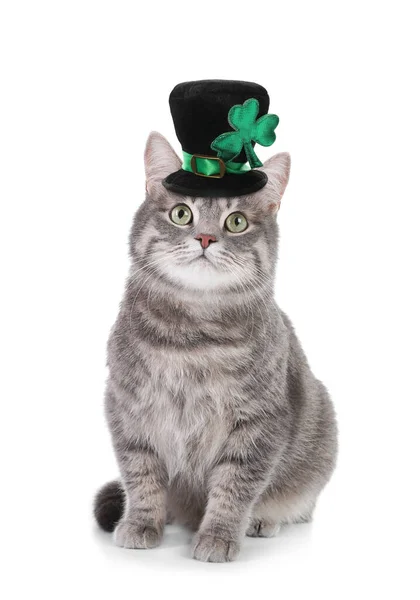 Cute Gray Tabby Cat Leprechaun Hat White Background Patrick Day — Stock Photo, Image