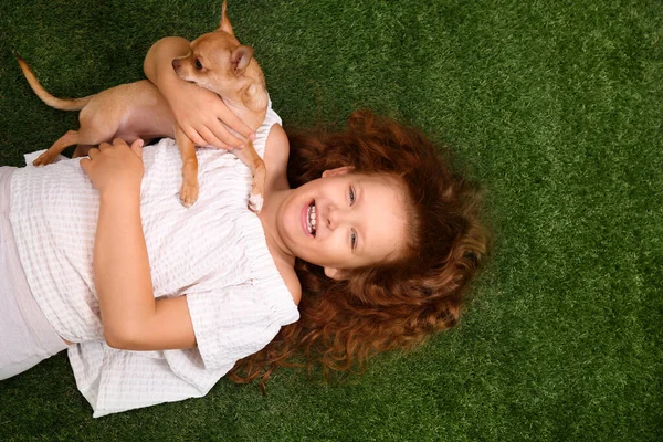 Mignon Petit Enfant Avec Son Chien Chihuahua Sur Herbe Verte — Photo
