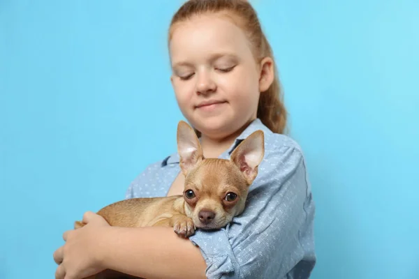 Criança Bonito Com Seu Cão Chihuahua Fundo Azul Claro Adorável — Fotografia de Stock