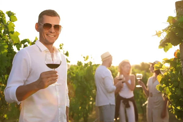 Knappe Man Met Een Glas Wijn Zijn Vrienden Wijngaard — Stockfoto