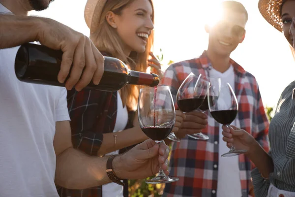 Amigos Degustando Vinho Tinto Vinha Dia Ensolarado Close — Fotografia de Stock