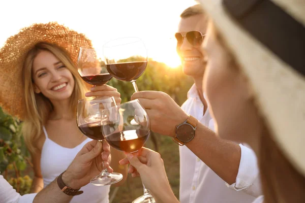 Amigos Tintineando Copas Vino Tinto Viñedo Día Soleado Primer Plano — Foto de Stock