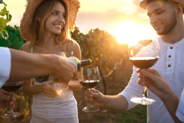 Amigos Degustación Vino Tinto Viñedo Día Soleado Primer Plano — Foto de Stock