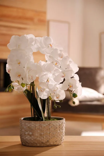 Красива Біла Орхідея Столі Кімнаті — стокове фото