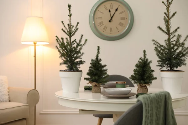 Kleine Dennenbomen Eettafel Binnen Kerst Interieur Ontwerp — Stockfoto