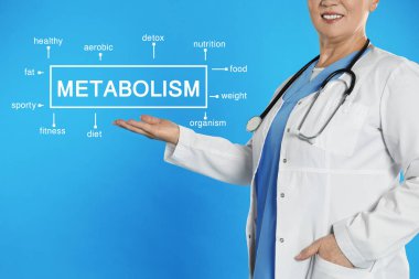 Metabolizma konsepti. Olgun doktor mavi arka planda sunum şeması, yakın plan