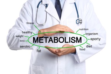 Metabolizma konsepti. Doktor beyaz arkaplanda şema sunuyor, yakın plan