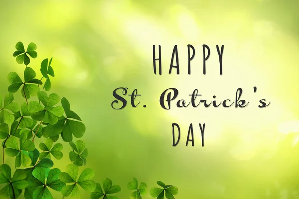 Happy Patrick Day Clover Leaves Green Background — Stock Photo, Image