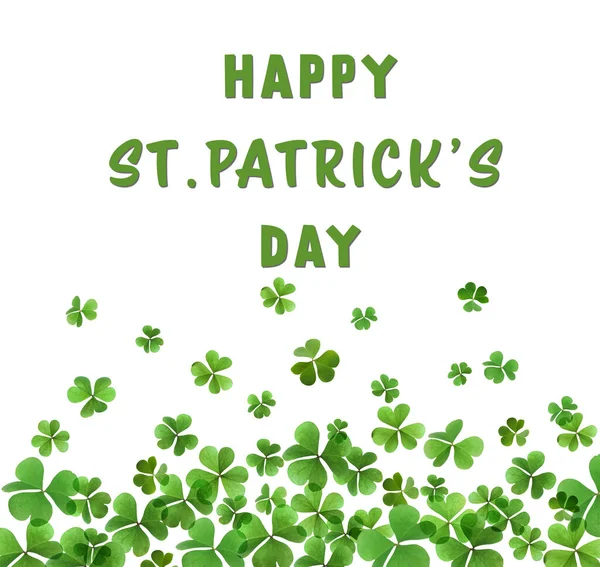Happy Patrick Day Green Clover Leaves White Background — Stock Photo, Image