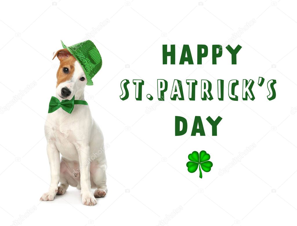 Happy St. Patrick's Day. Cute Jack Russel Terrier with leprechaun hat and bow tie on white background