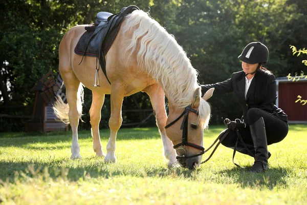阳光明媚的日子里 身穿骑马服的年轻女子和她美丽的宠物在户外 — 图库照片