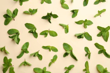 Bej arkaplanda taze nane, düz uzanma