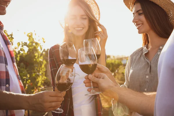 Vrienden Klinkende Glazen Rode Wijn Wijngaard Zonnige Dag Close — Stockfoto