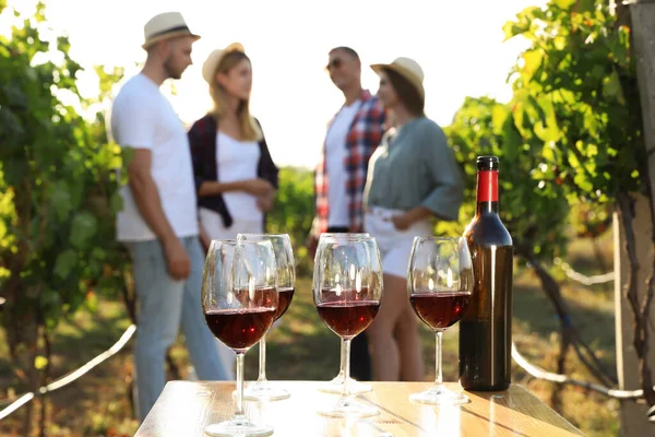 Botella Vino Tinto Con Copas Sobre Mesa Madera Amigos Viñedo — Foto de Stock