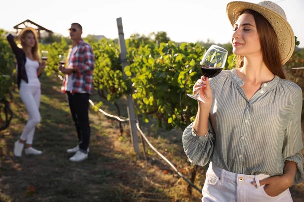 Mooie Jonge Vrouw Met Glas Wijn Haar Vrienden Wijngaard Zonnige — Stockfoto