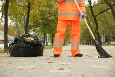 Street cleaner sweeping fallen leaves outdoors on autumn day, closeup clipart